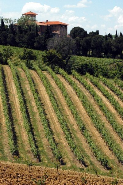 Colonia Di Castel Raniero