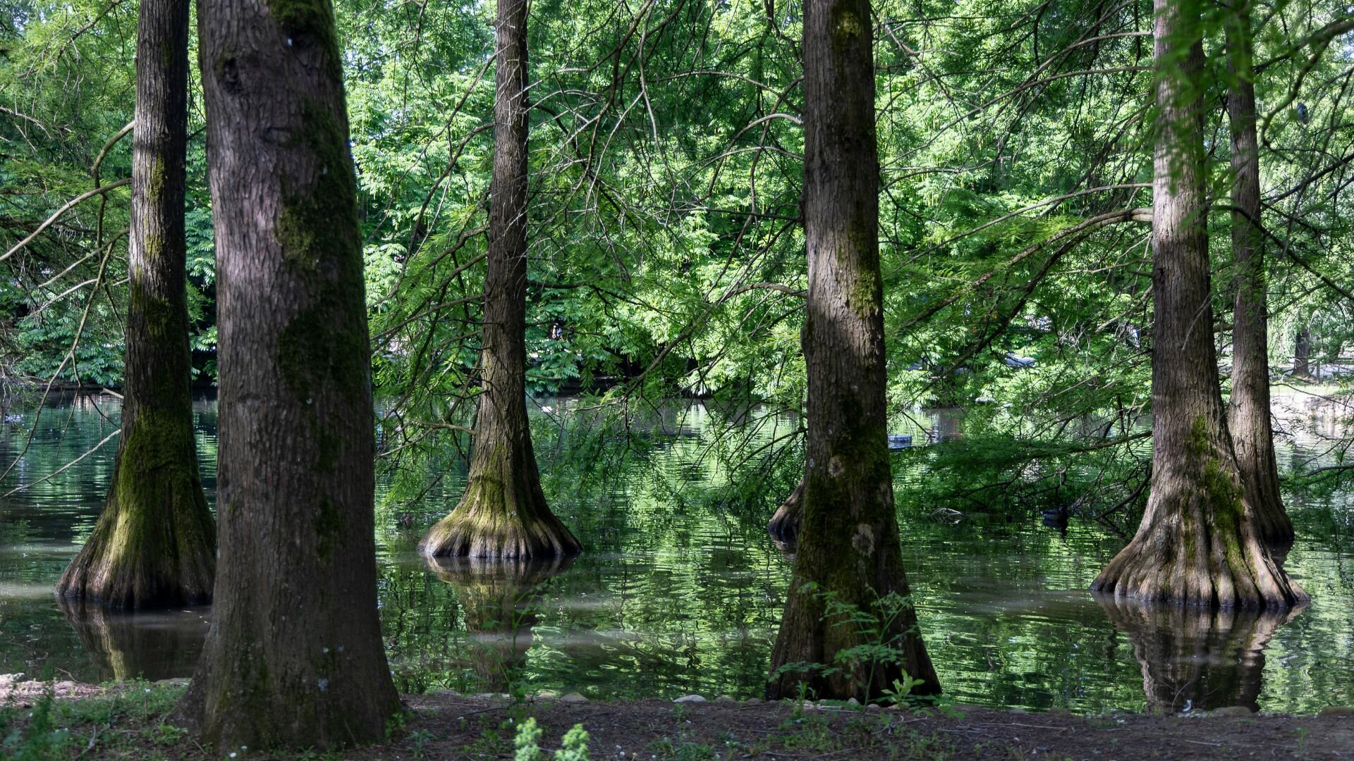Parco Bucci 2