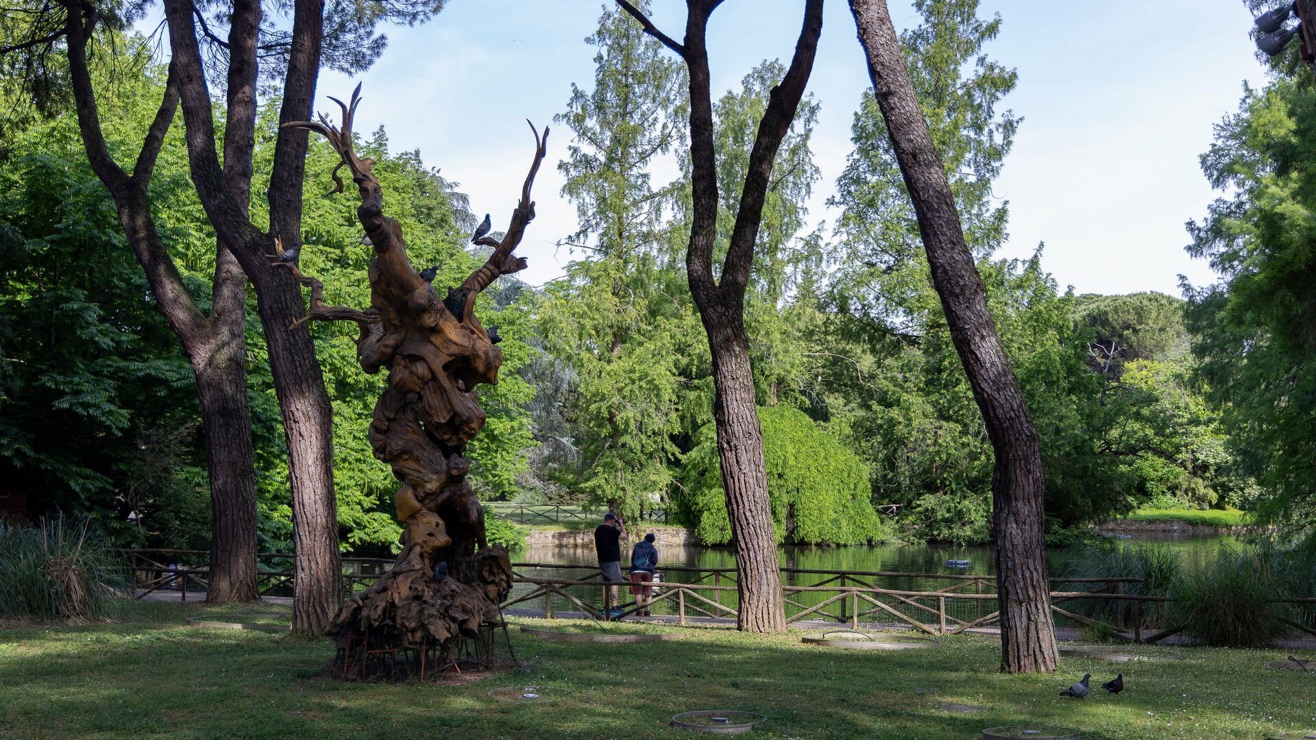 Parco Bucci 3