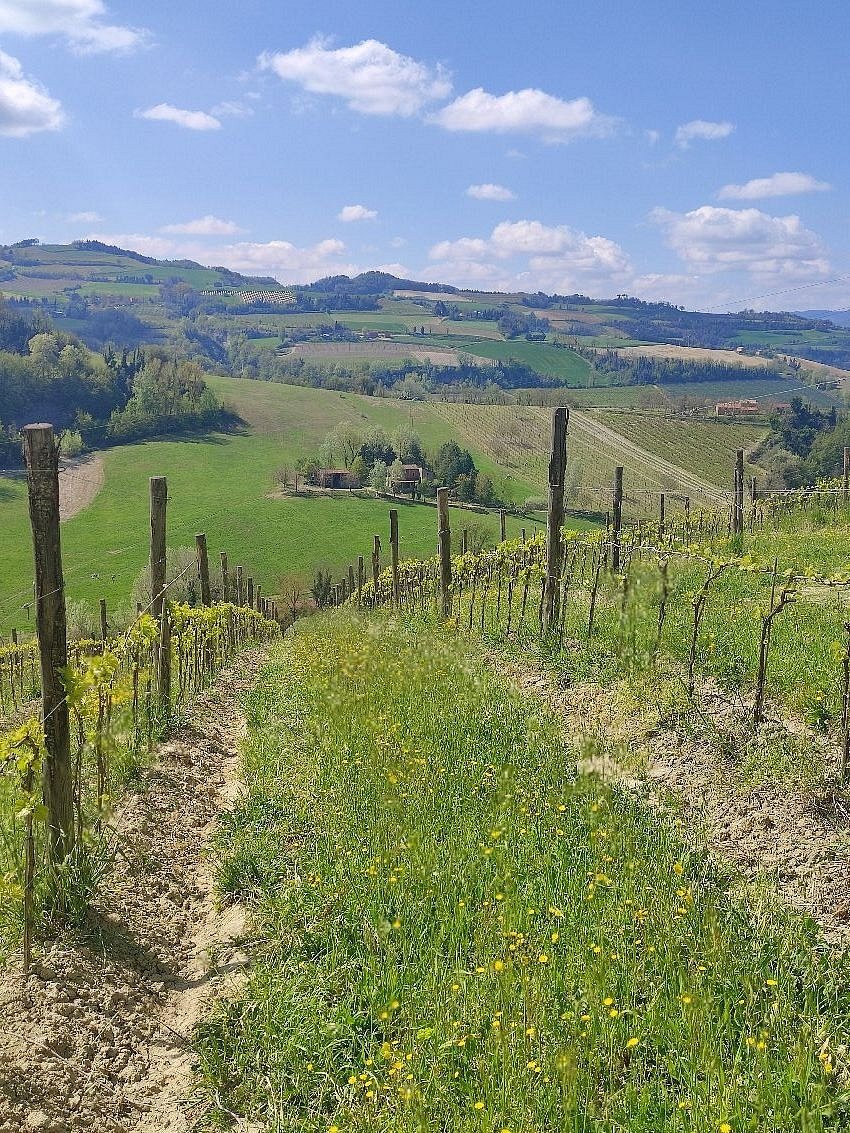 Agriturismo Podere Ortali