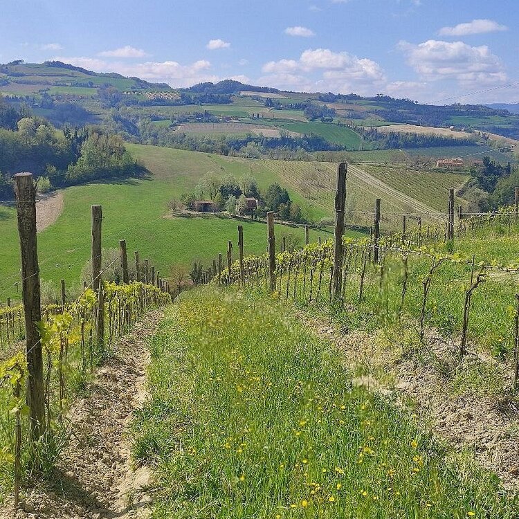 Agriturismo Podere Ortali