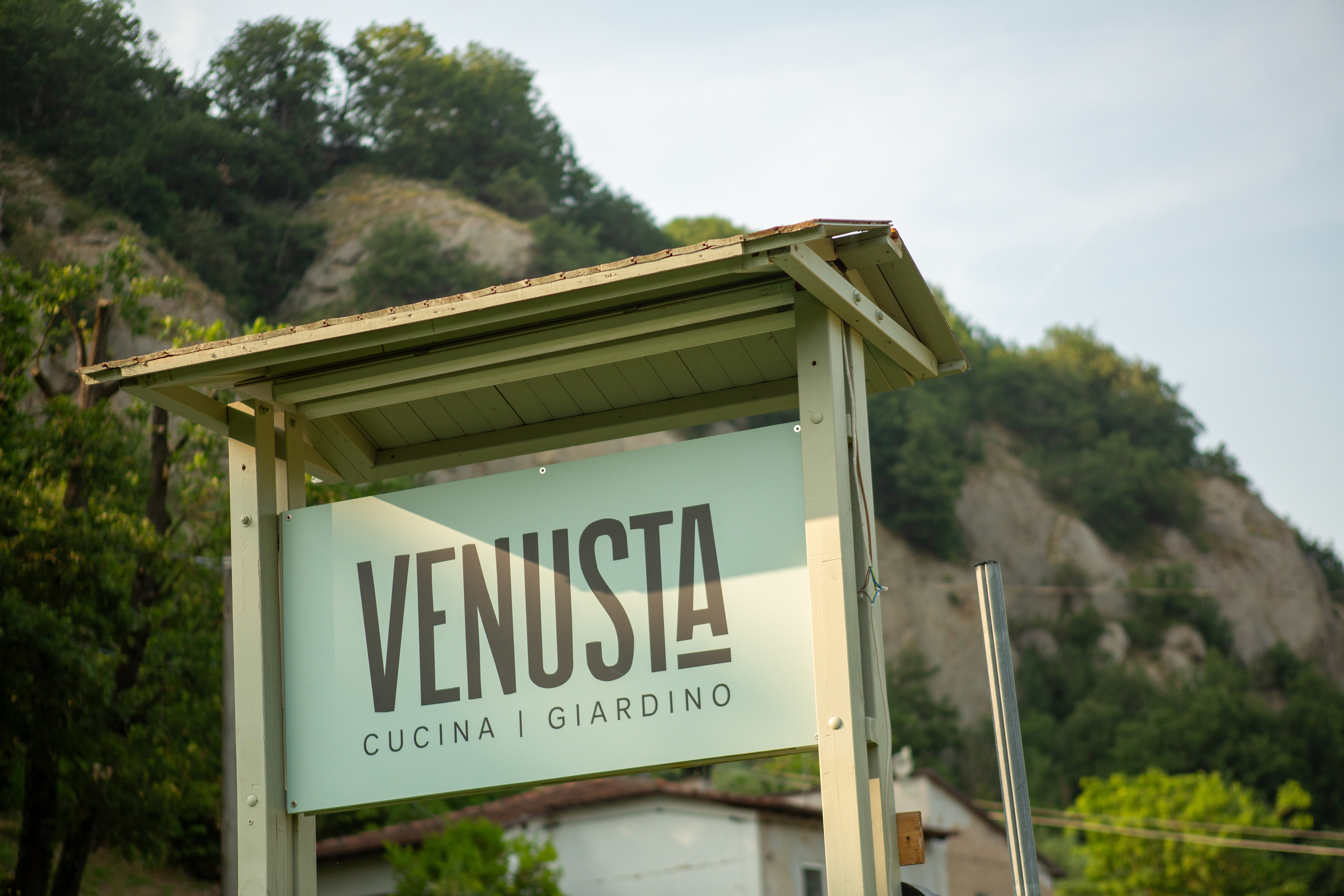 Venusta 11