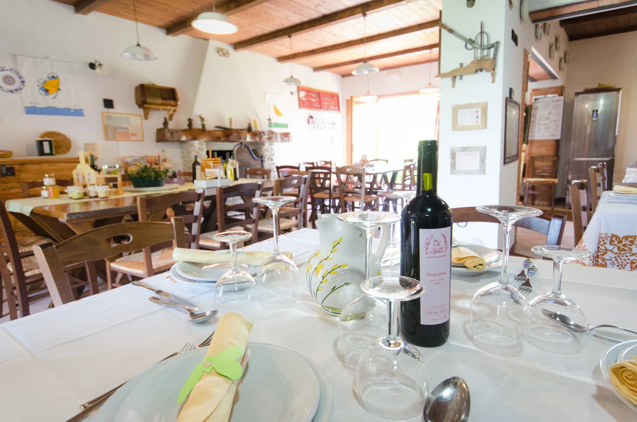 Agriturismo Ca'de'Gatti