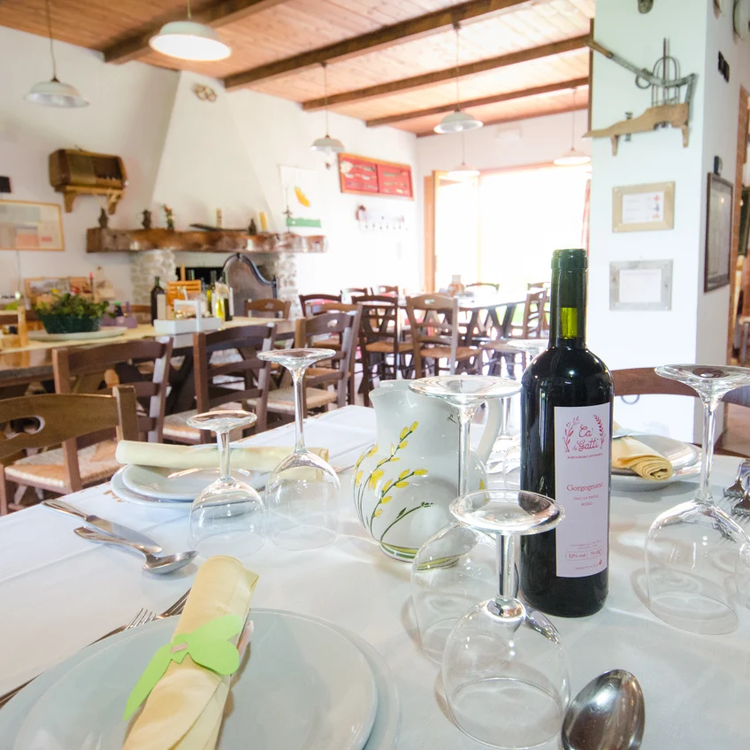 Agriturismo Ca' de' Gatti - Il Ristorante