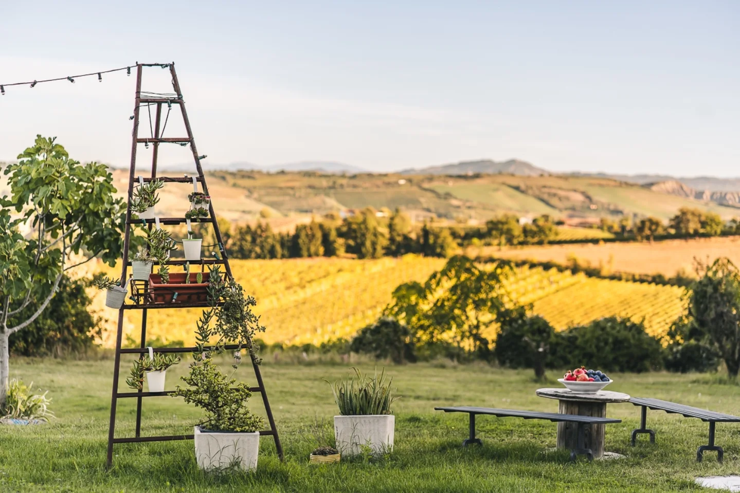 Il Roccolo - Organic Farm