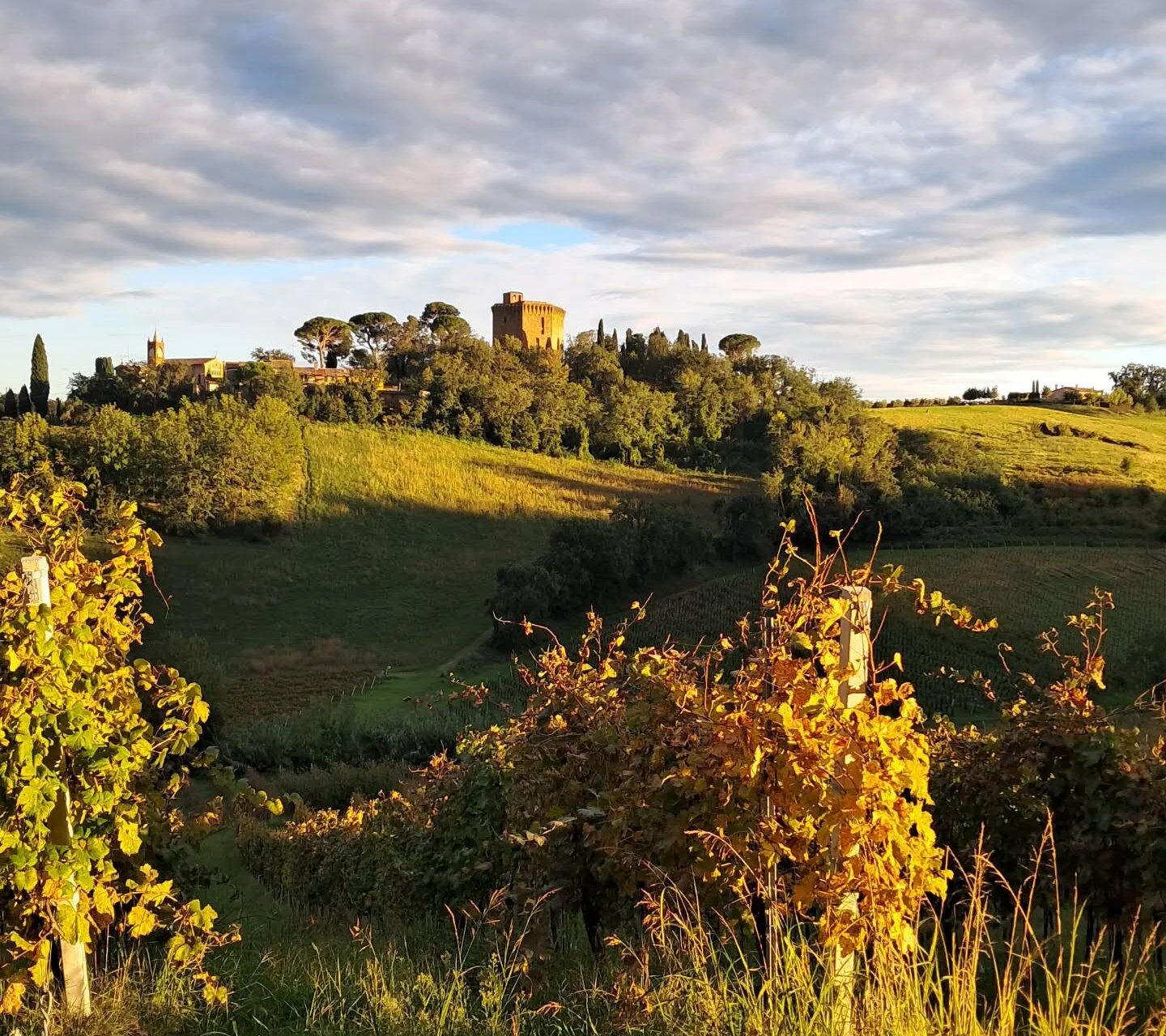 Cantina San Biagio Vecchio