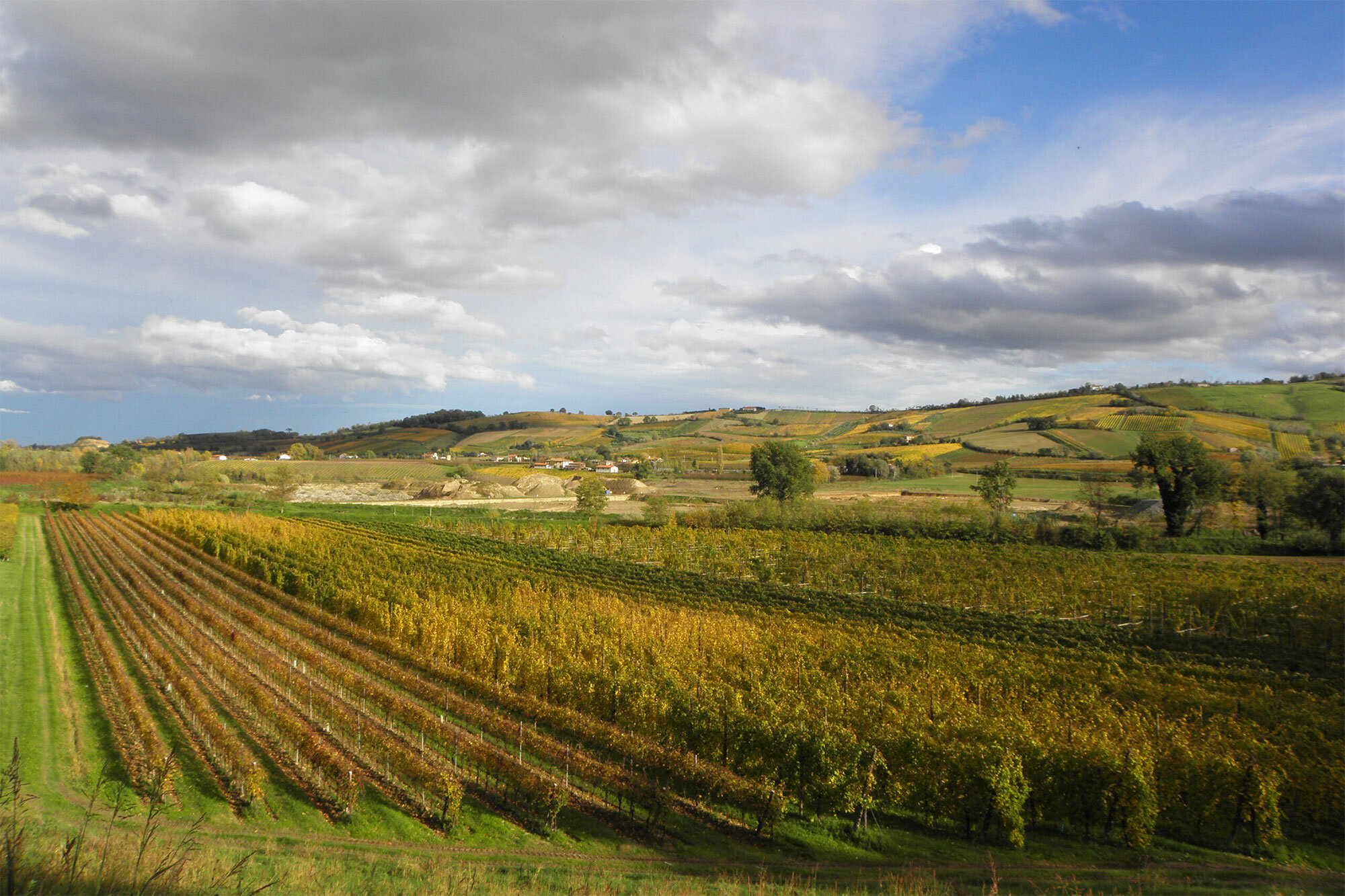 Cantina Tibe 1