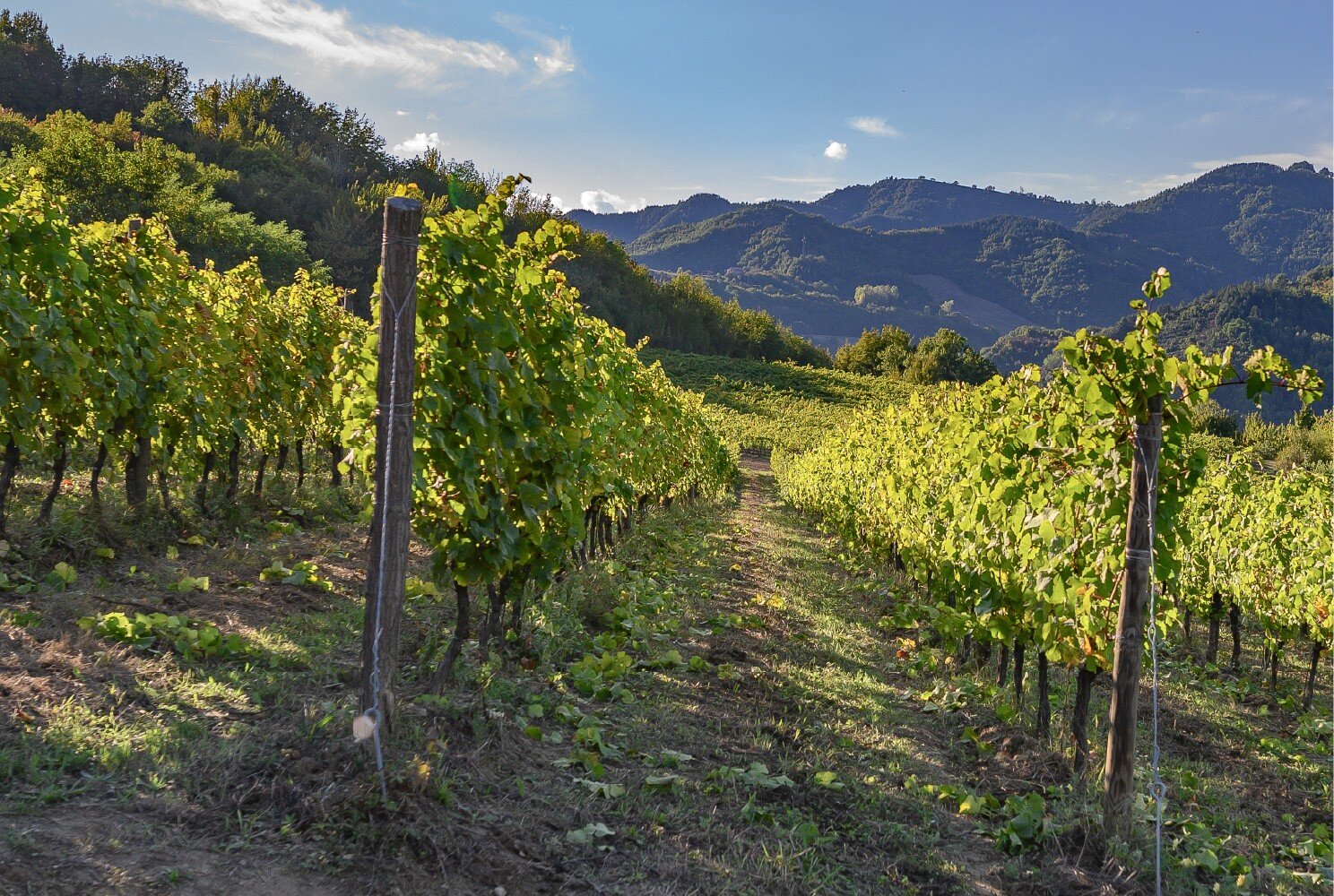 Fondo San Giuseppe Filosofia