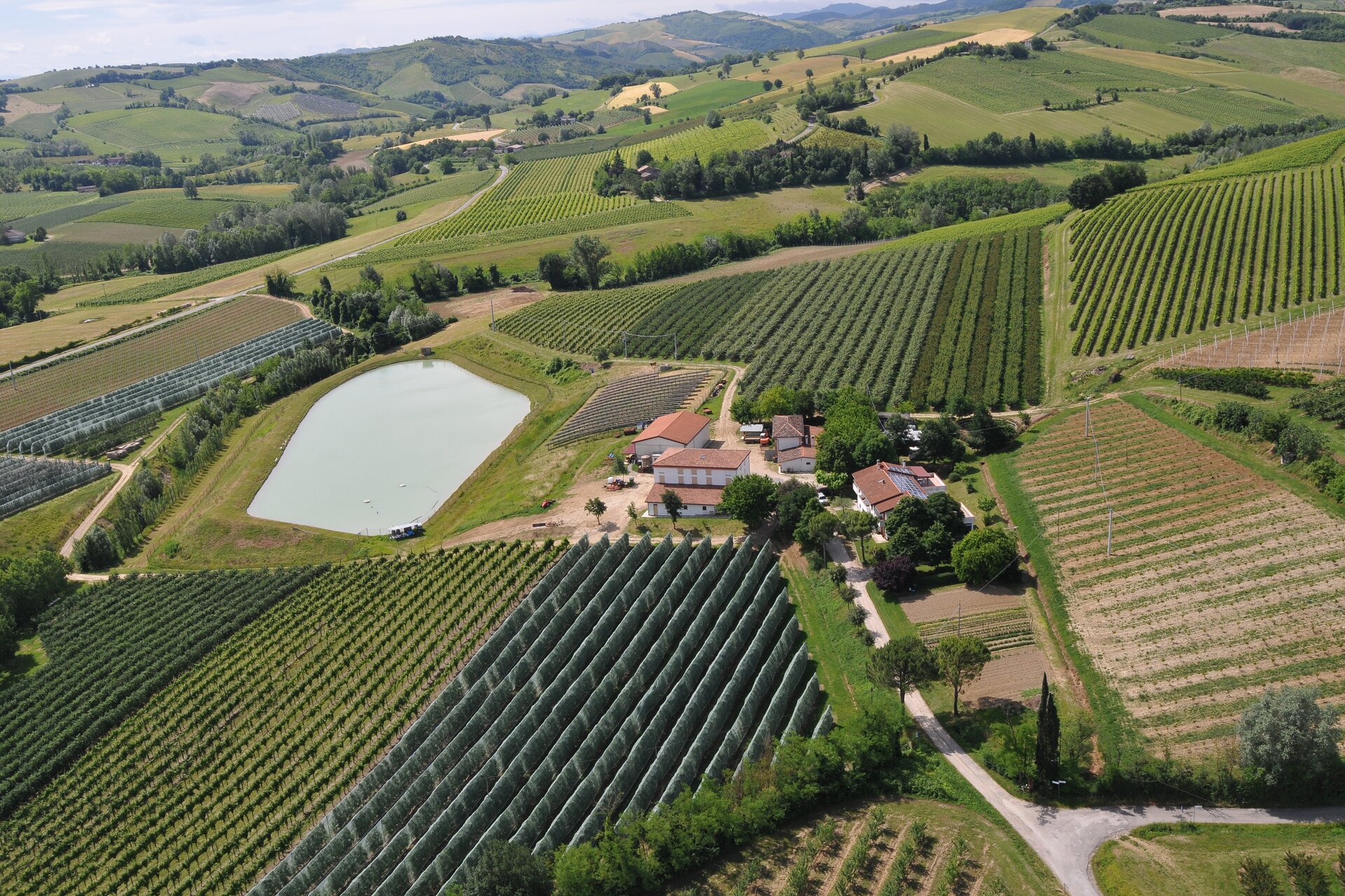 Azienda Agricola Mazzoni