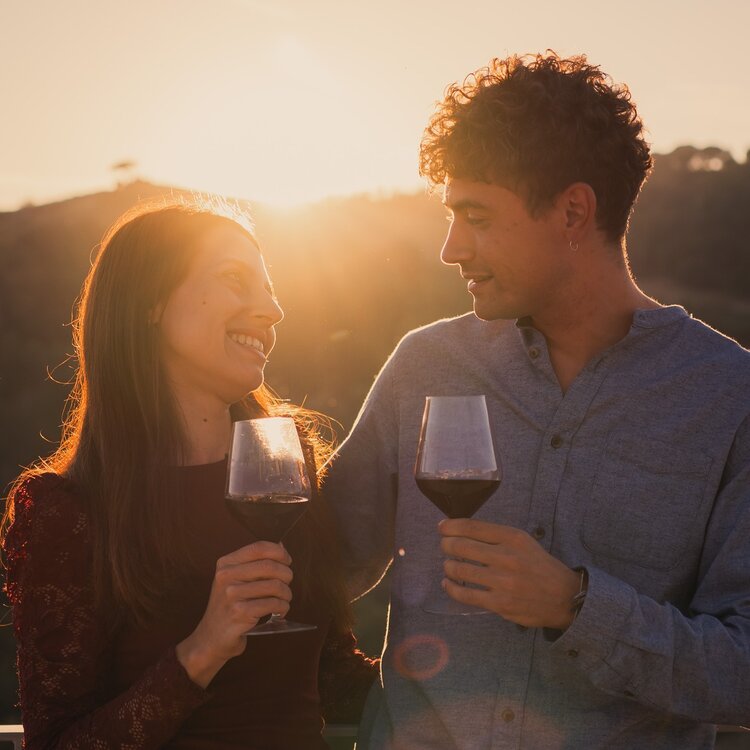 Mevigo - Wine and Products