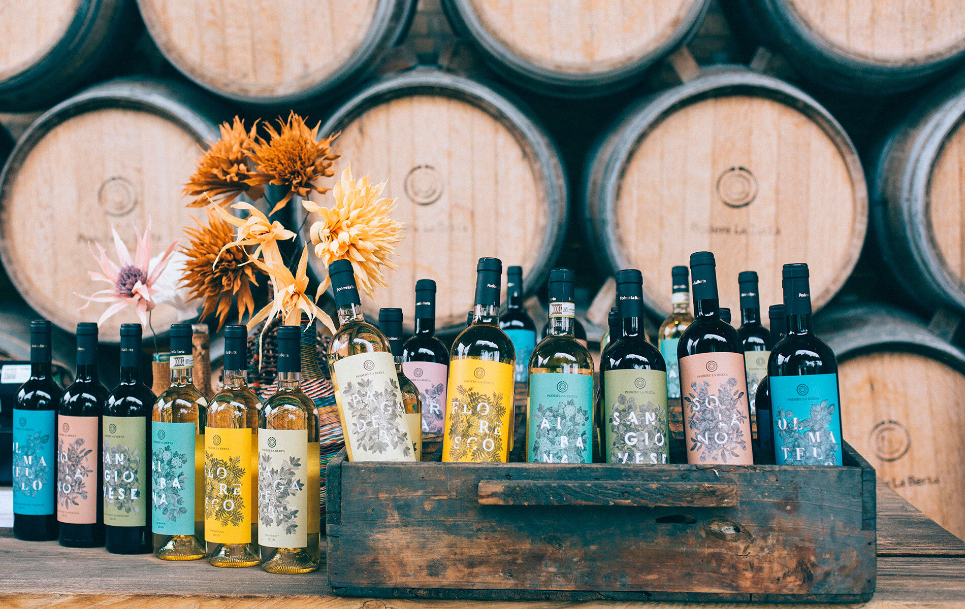 Podere La Berta - Cantina