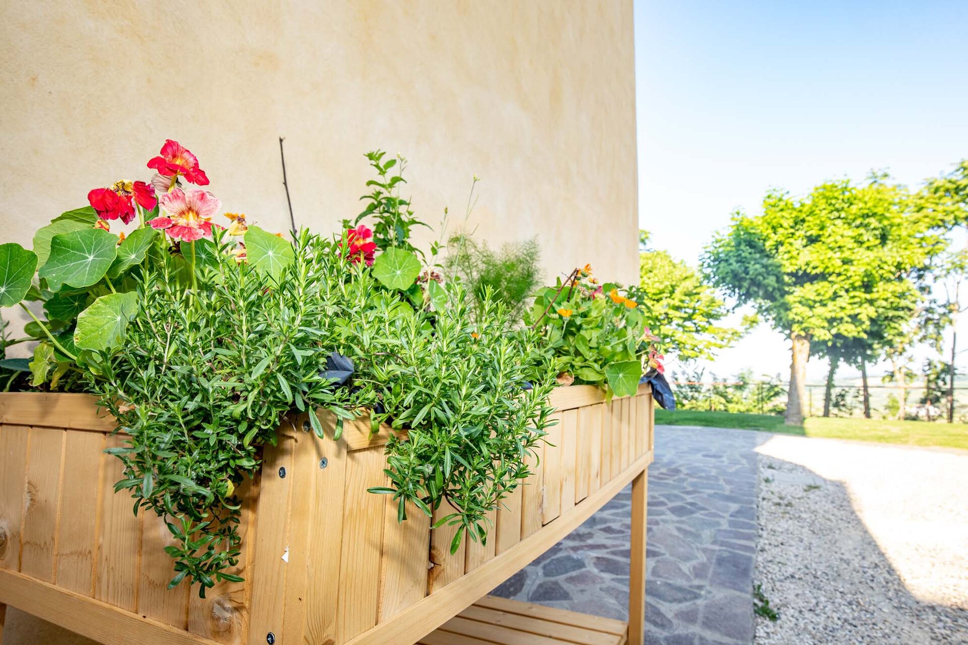 La Querciola - Azienda Agricola