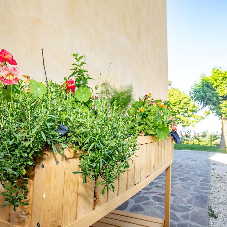 La Querciola - Azienda Agricola