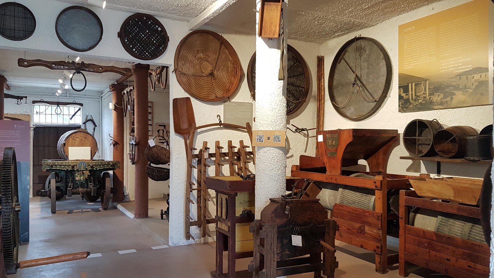 Tenuta Masellina Collezione Tenuta Masselina