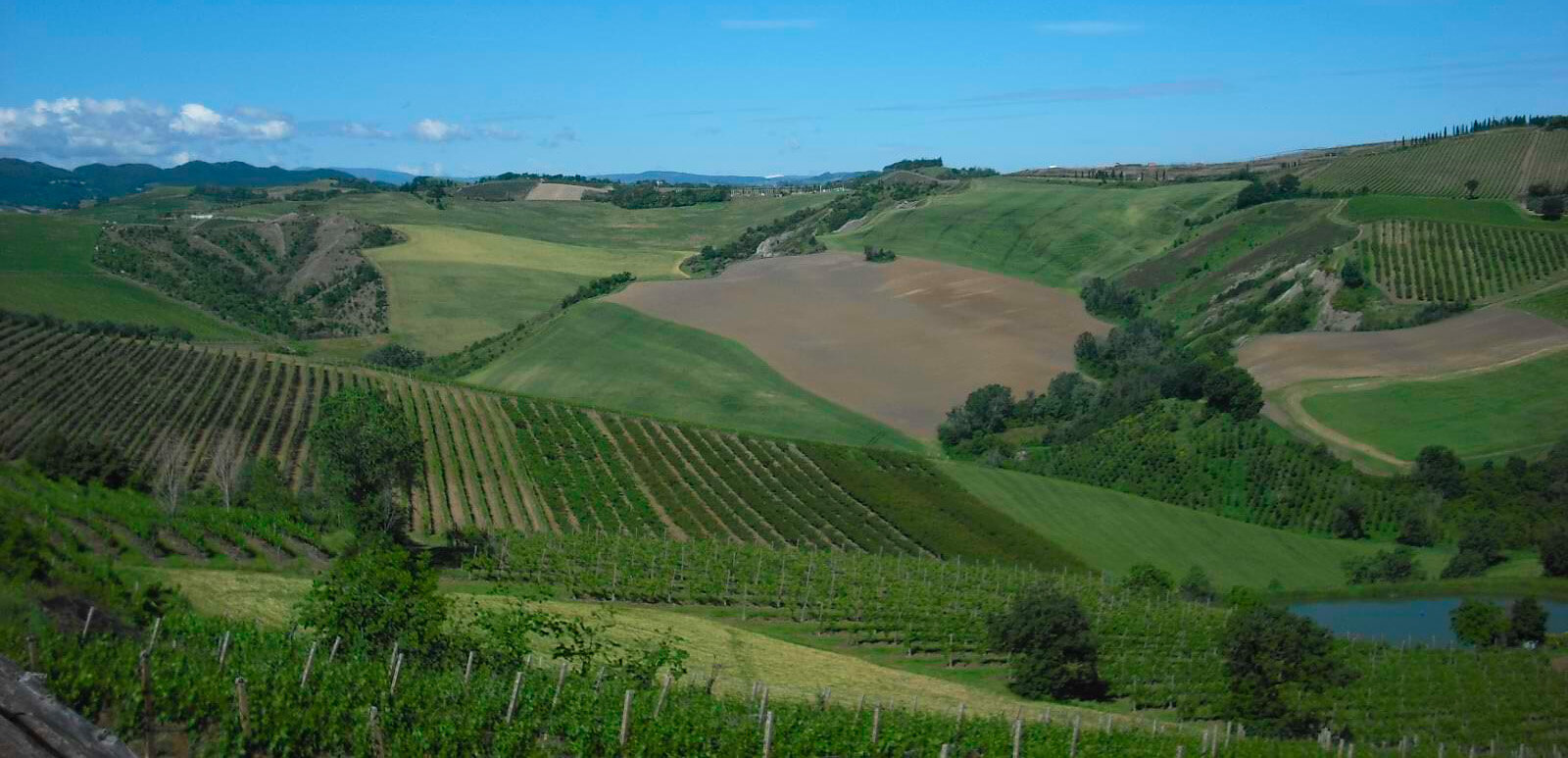 Tenuta Nasano 1