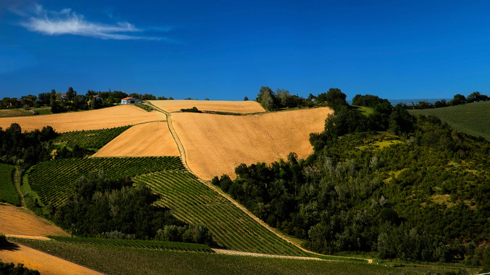 Tenuta Nasano - Winery