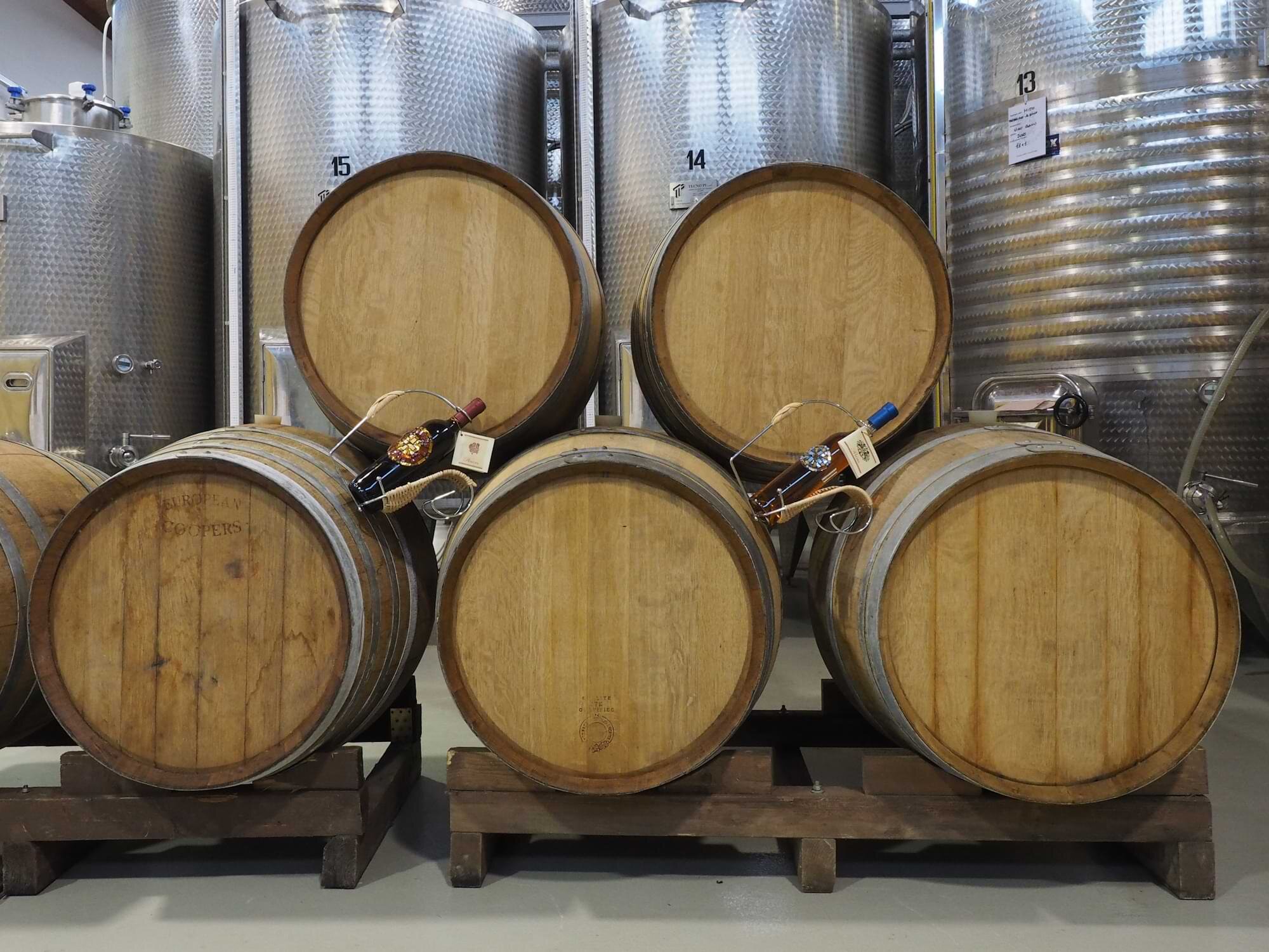 Tenuta Nasano 4