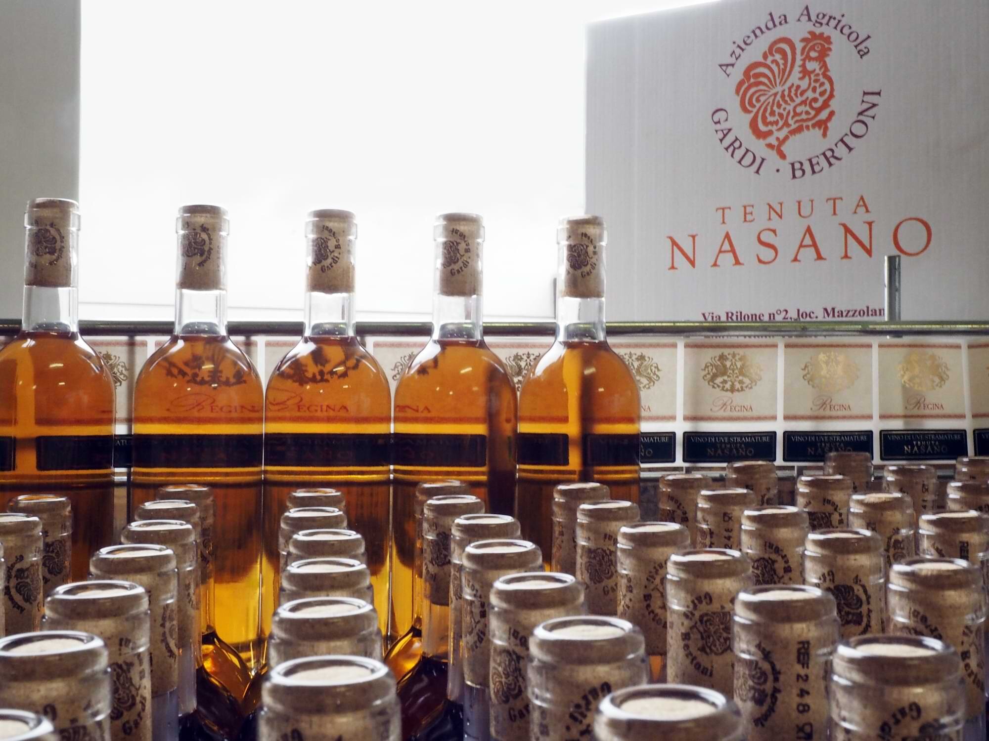 Tenuta Nasano 5