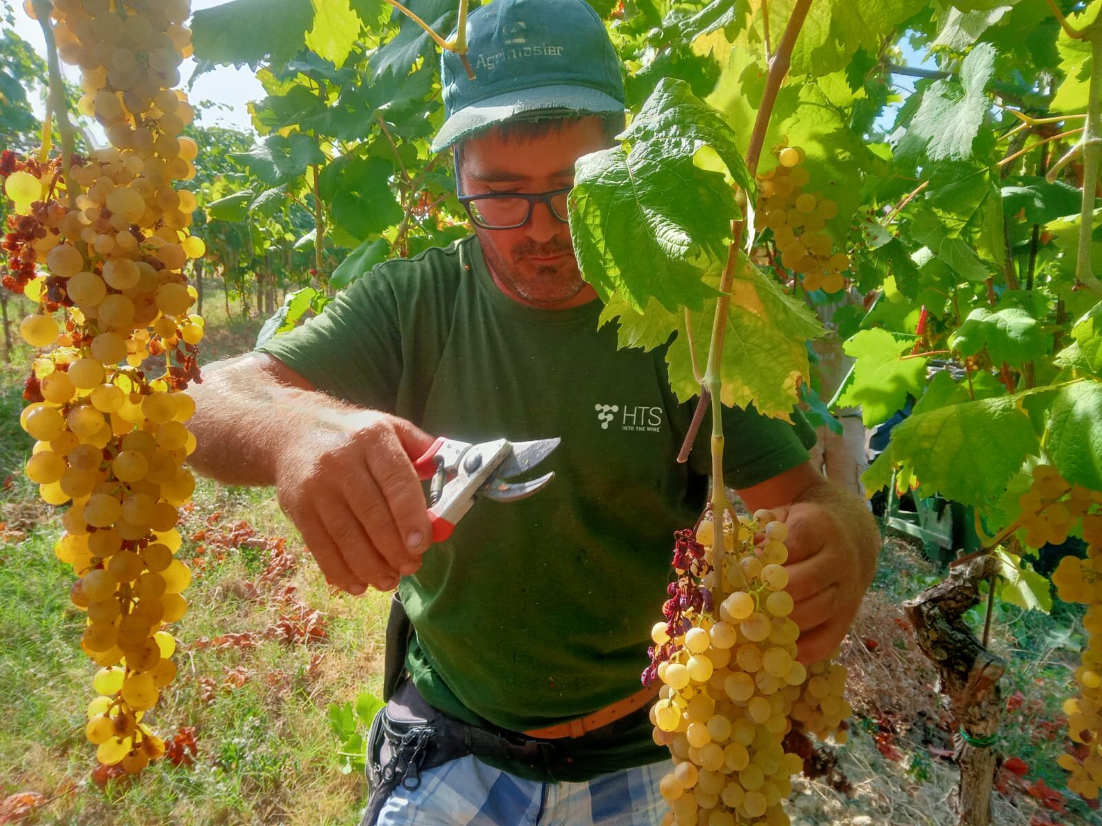 Tenuta Nasano 1