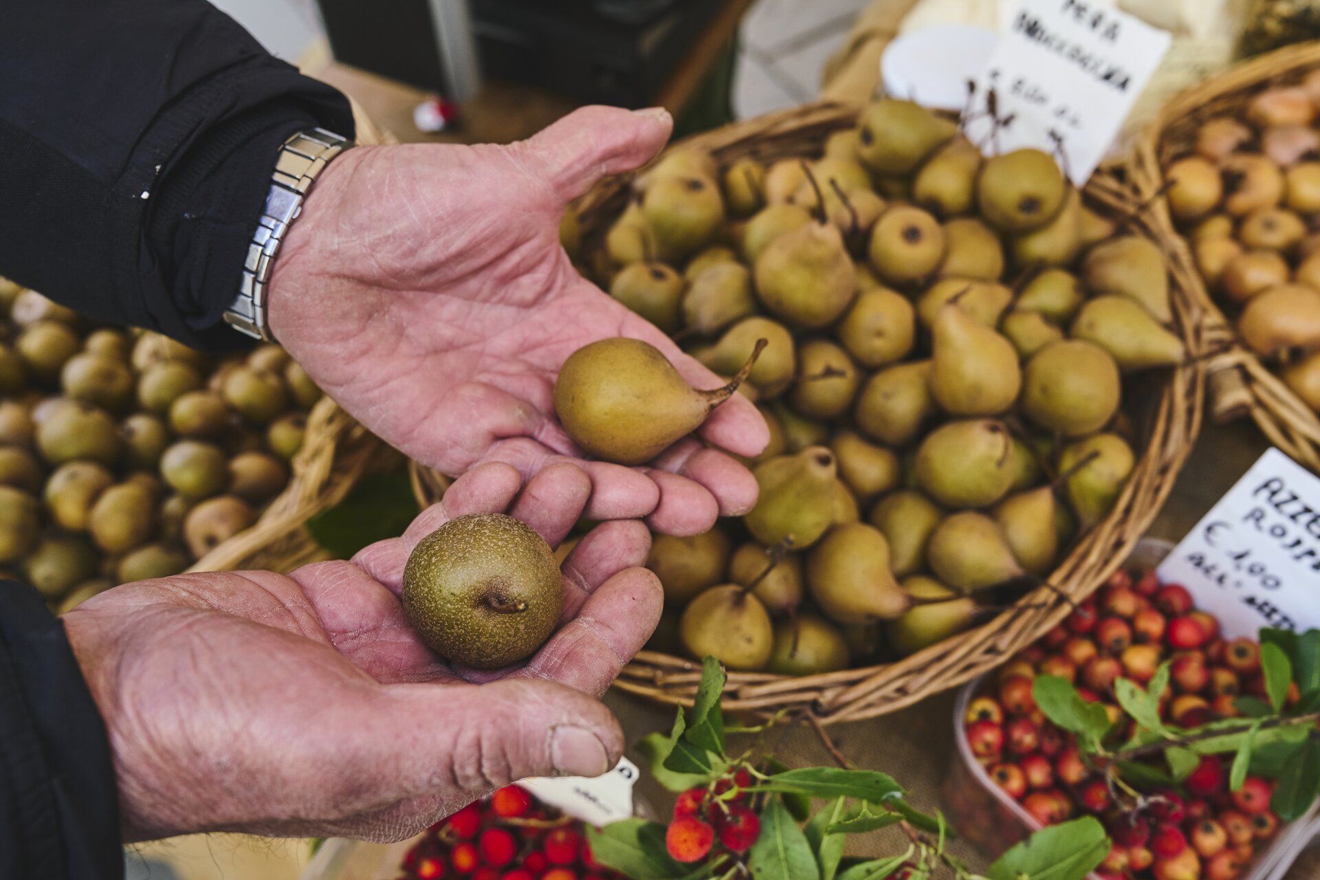 I Frutti Dimenticati