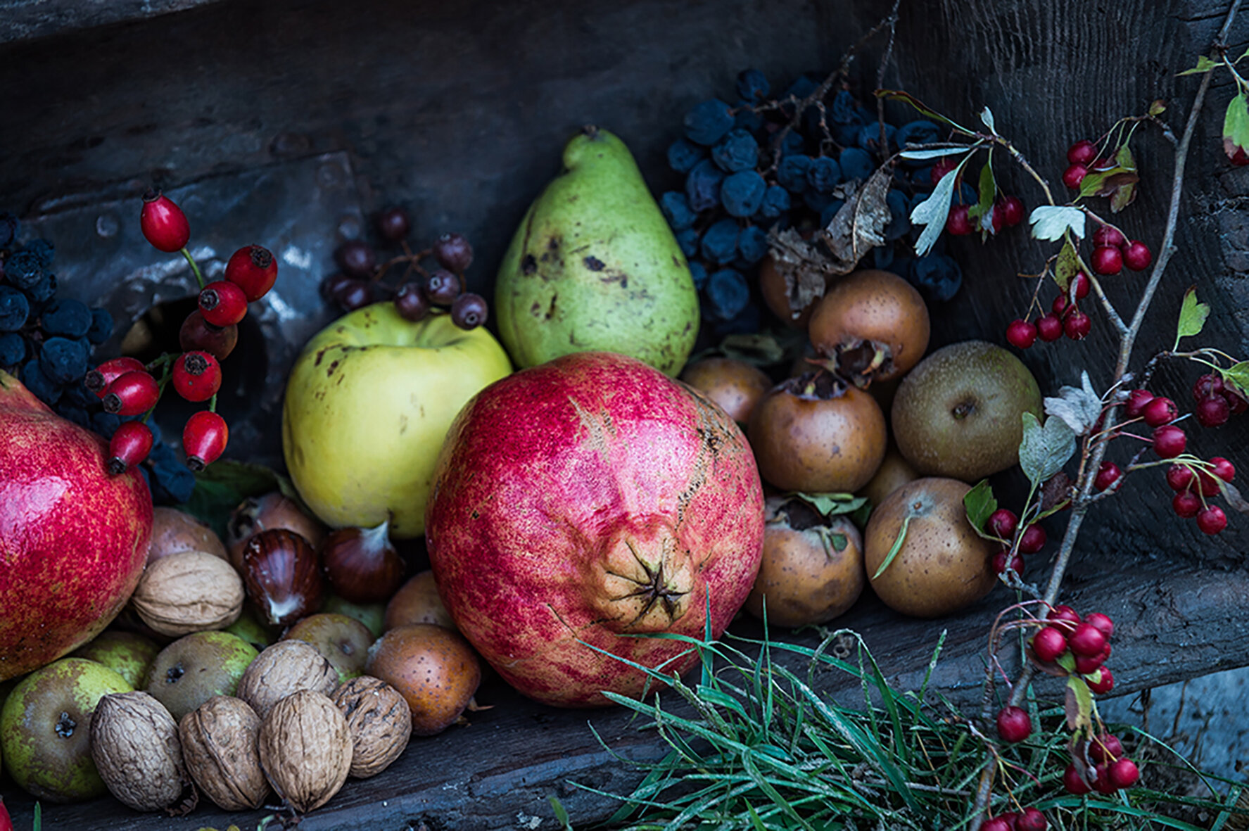 Festa Dei Frutti Dimenticati