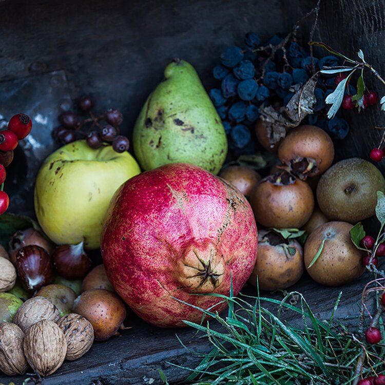 Festa dei Frutti Dimenticati e del marrone  di Casola Valsenio 2026