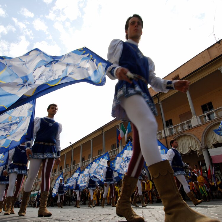 Niballo - Palio di Faenza Niballo - Palio di Faenza