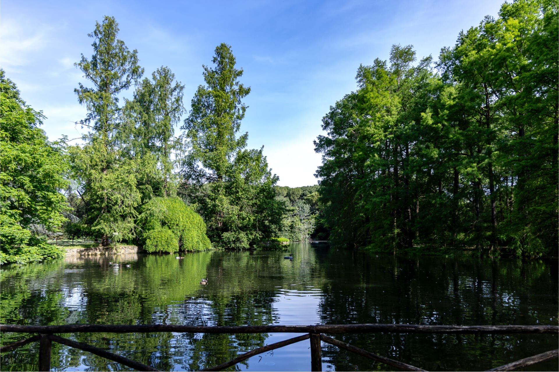 Fe0e3f10955bddf7db705b702d7e664c7c7e708d