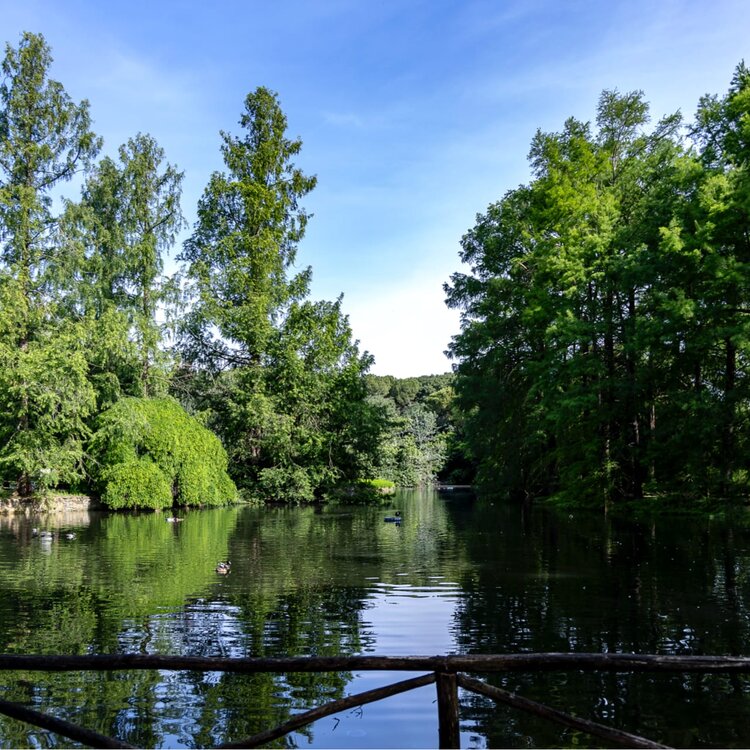 Fe0e3f10955bddf7db705b702d7e664c7c7e708d