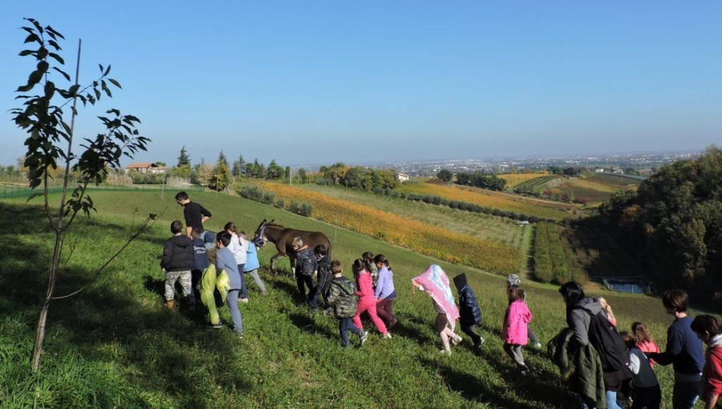Alla Scoperta Dei Segreti Della Natura Di Api Miele E Biodiversit Nascosta 24 Maggio 2026 Fe 8631