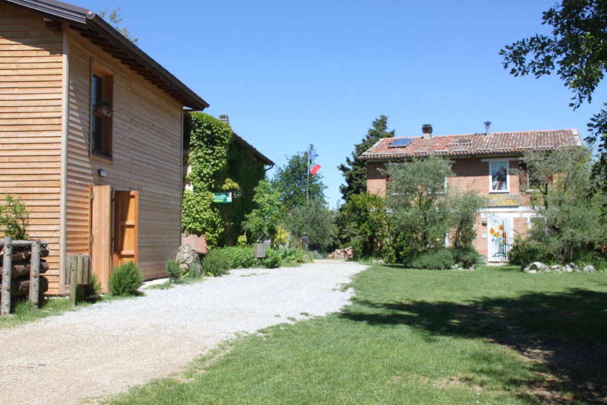 Bagno di Suoni nella natura