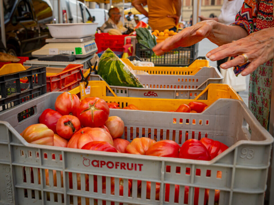 Bell Italia Ottobre 2026 Fe 8218