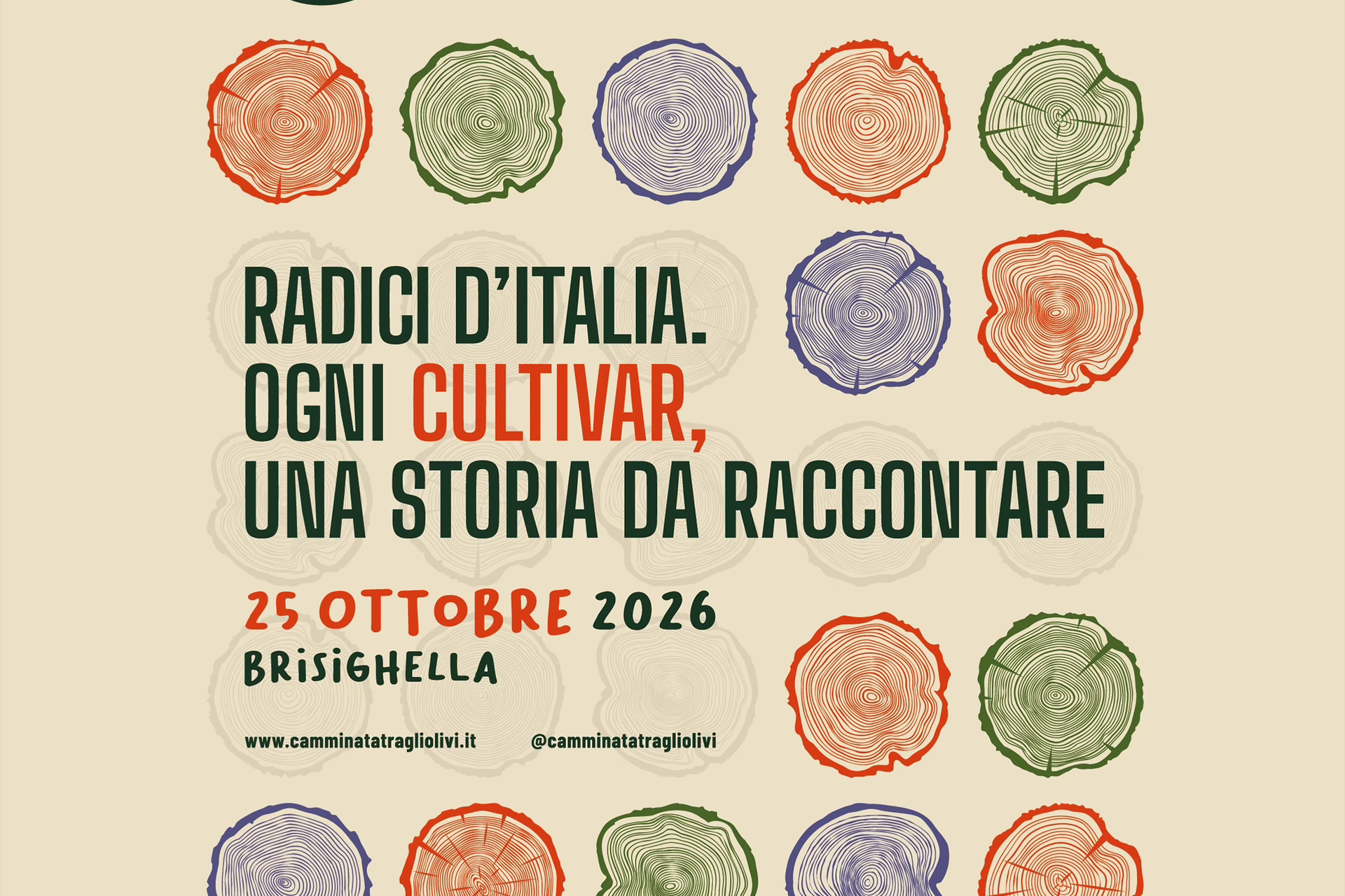 Camminata tra gli Olivi
