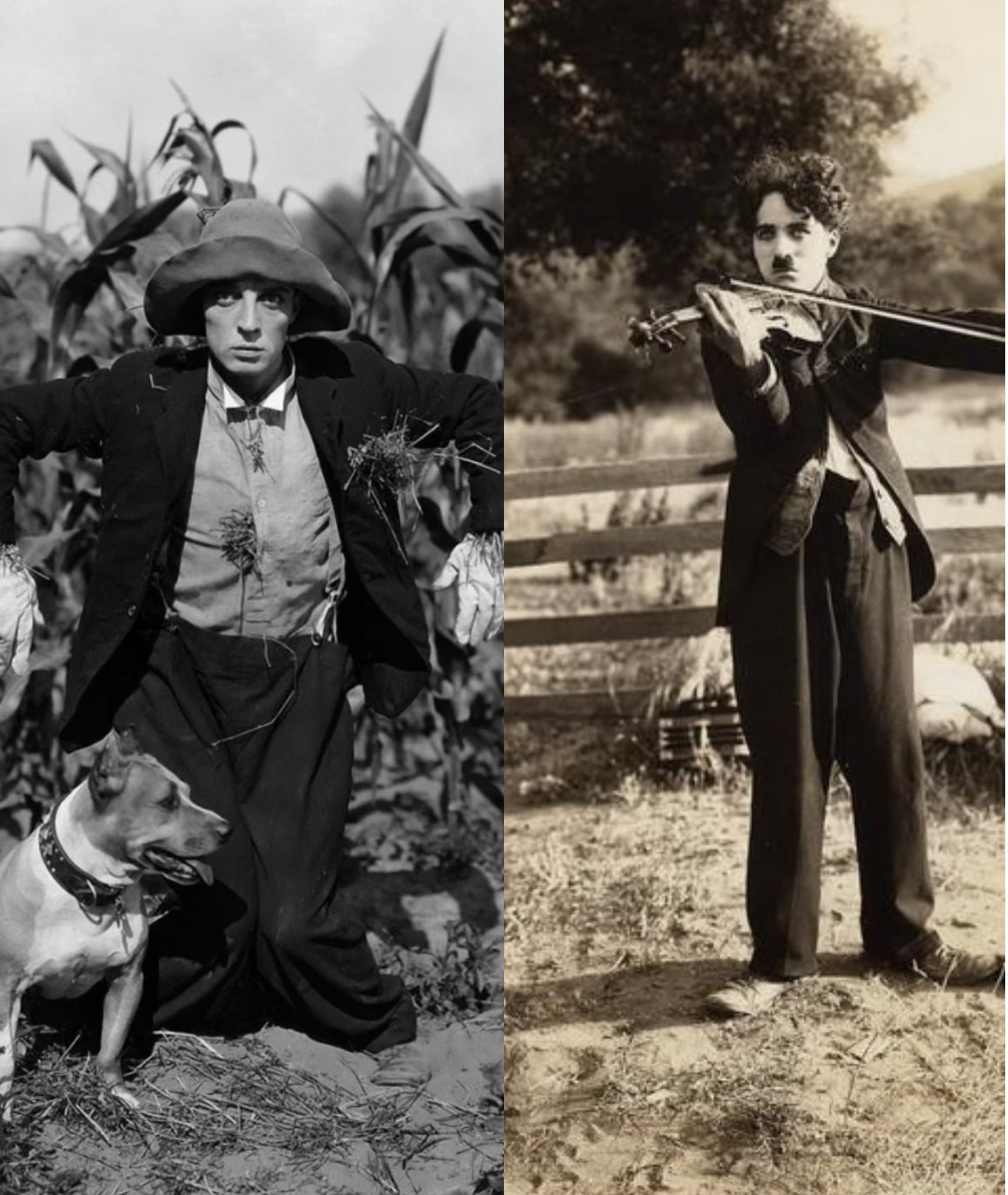 Evento riapertura Cinema Giardino | The Scarecrow (B. Keaton) e The Vagabond (C. Chaplin)