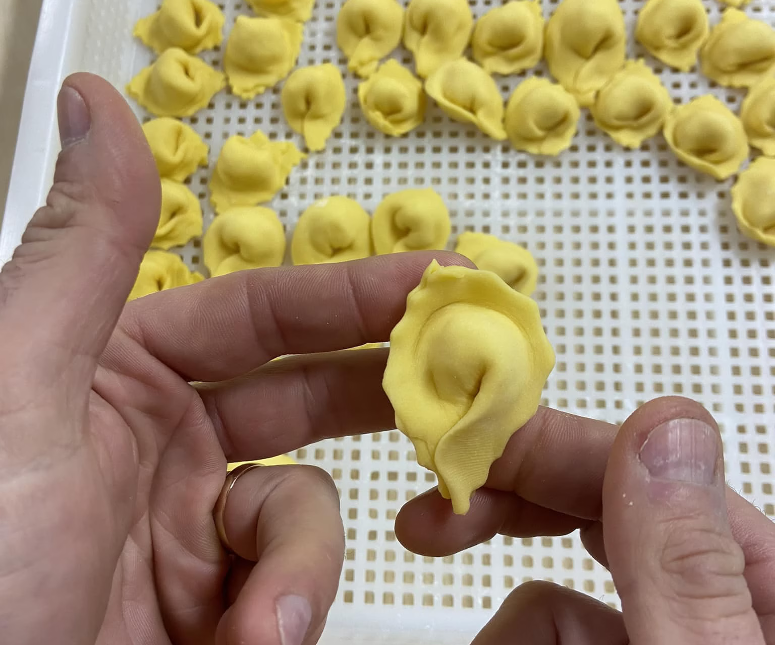 Festa d'la Fameja 2026