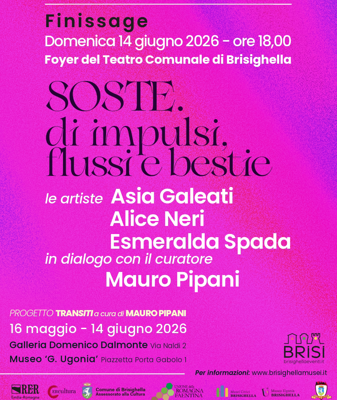 FINISSAGE della mostra “Soste di impulsi, flussi e bestie”