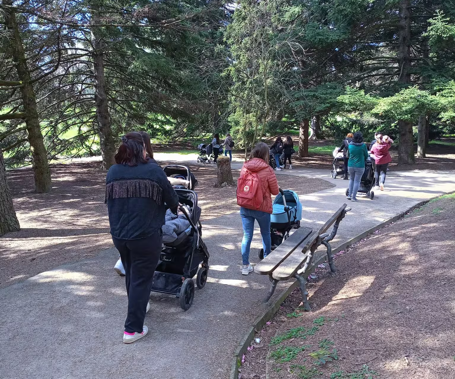 Genitori... in cammino! - 13 gennaio 2026