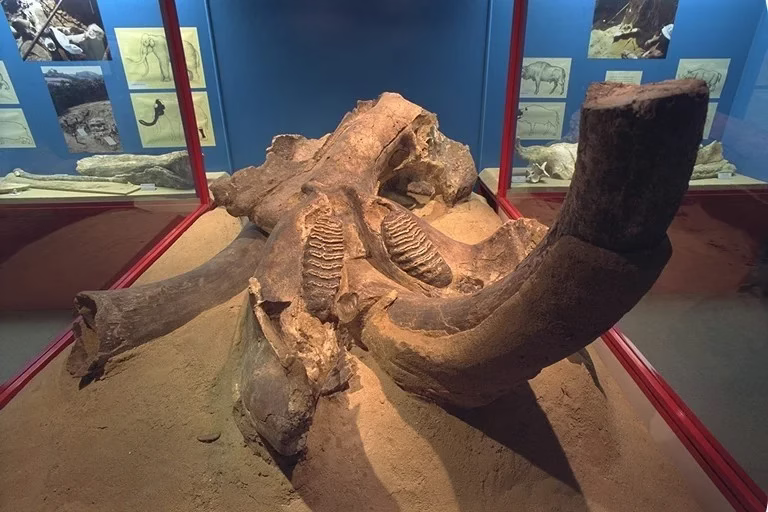 Giornata alla scoperta del Museo Malmerendi - 9 maggio 2026