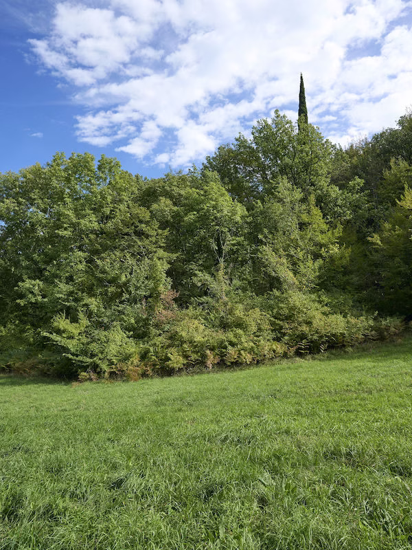 Gli Abissi di Brisighella