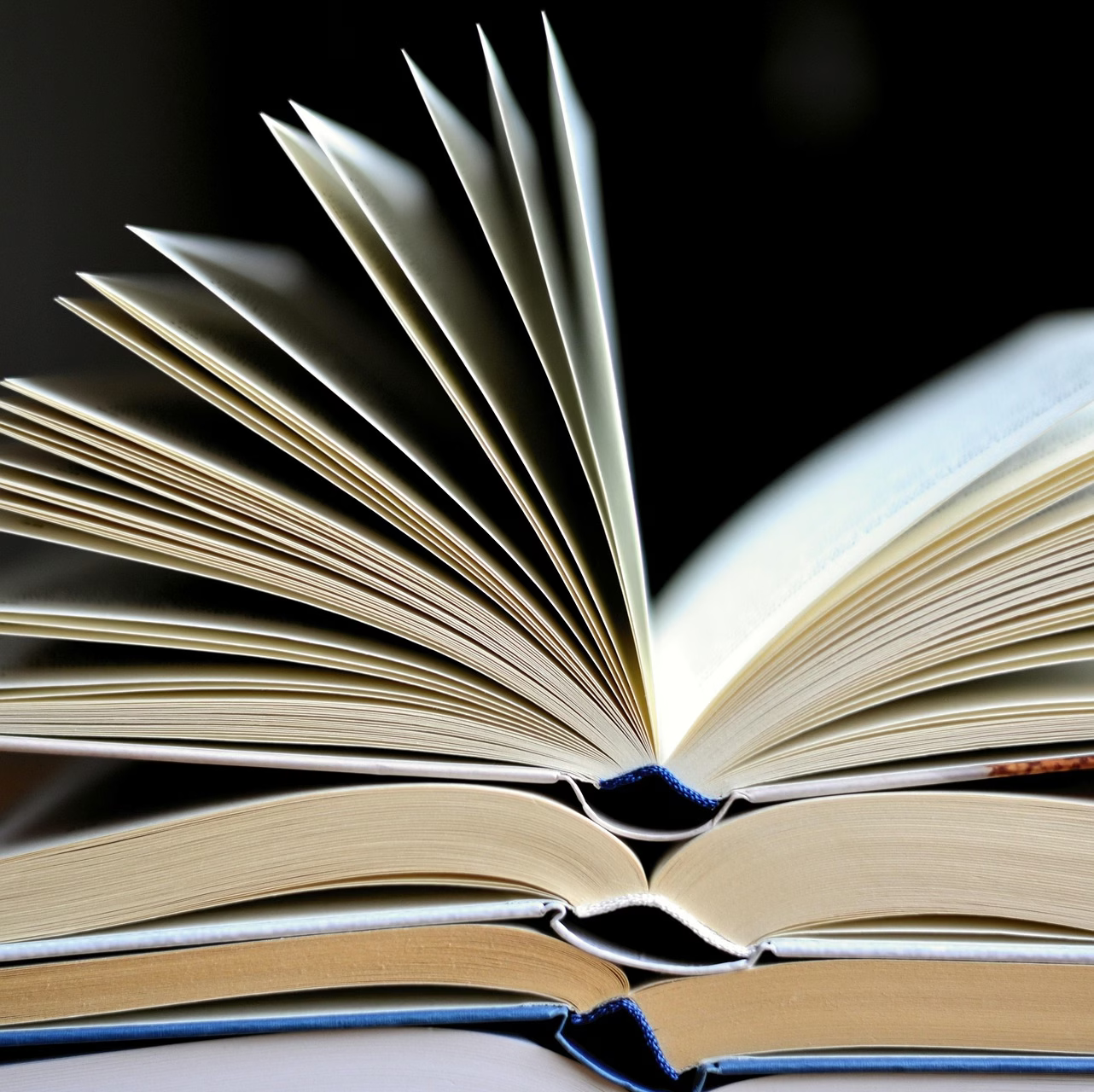 Gruppo Di Lettura La Stanza Di Virginia 20 Aprile 2026 Fe 8752