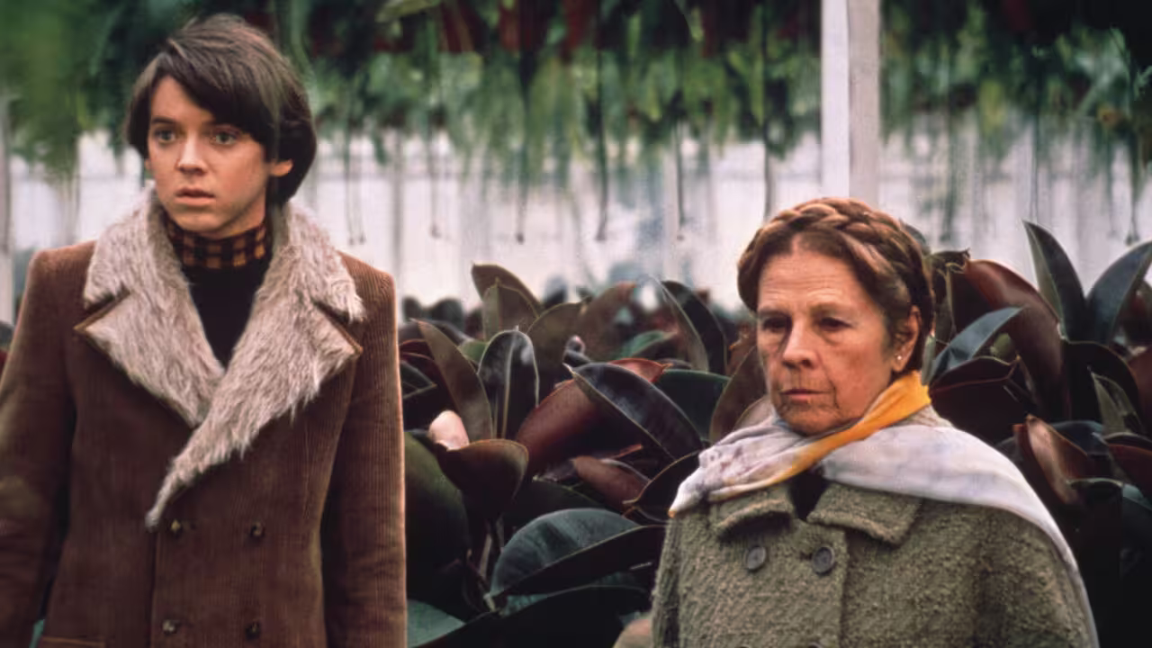 Harold e Maude | Nuovo Cinema Giardino 20/11