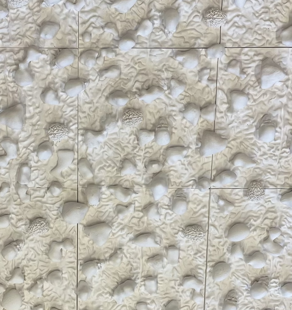 Itamar Gilboa: “World of Plenty”