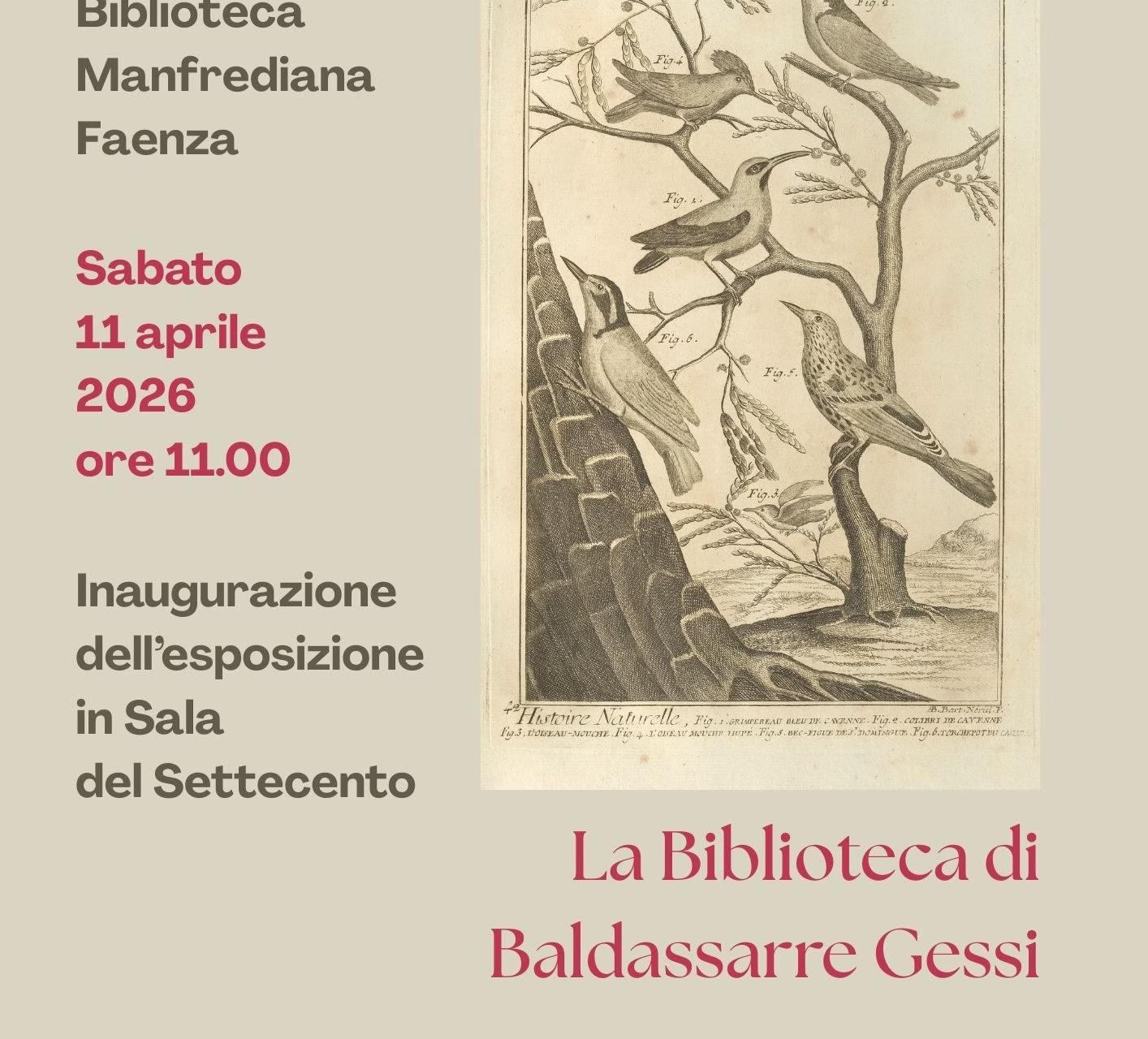 La Biblioteca Di Baldassarre Gessi Fe 8736