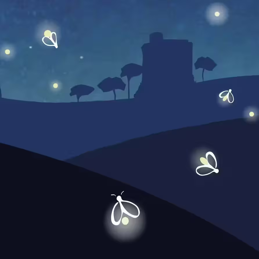 La Lucciolata - Torre di Oriolo - 30 maggio 2026