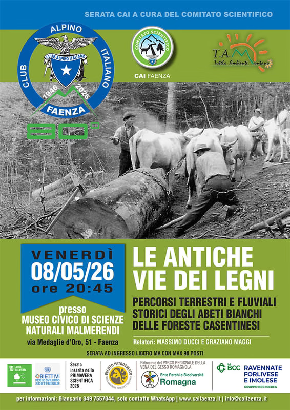 Le antiche vie dei legni: storia e natura nelle Foreste Casentinesi - 8 maggio 2026