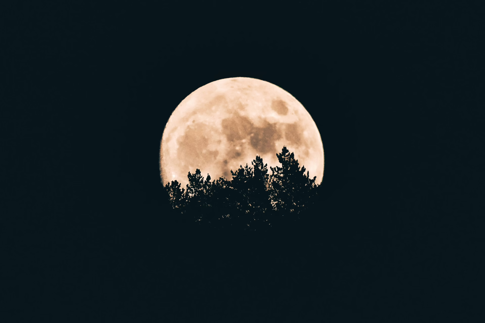 Luna Quasi Piena A Monte Mauro Br 7996