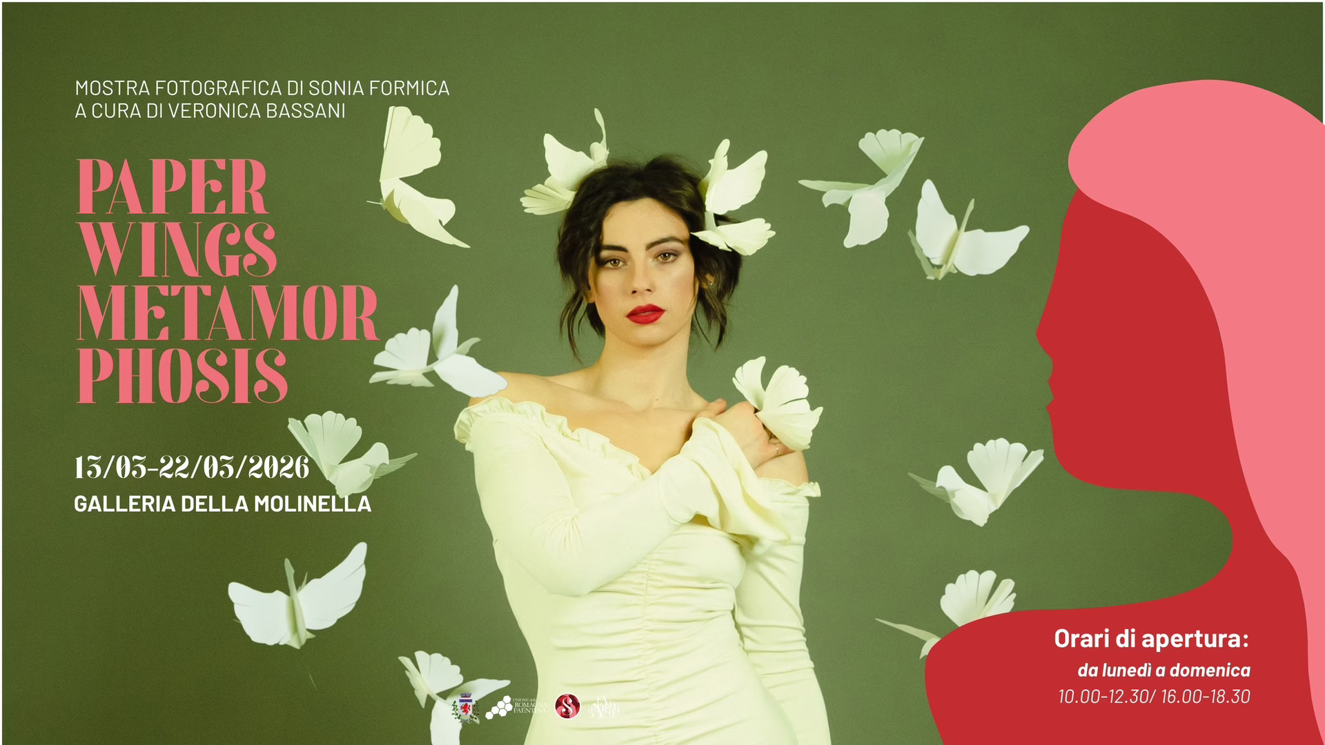 Paper Wings Alla Galleria Della Molinella Fe 8660