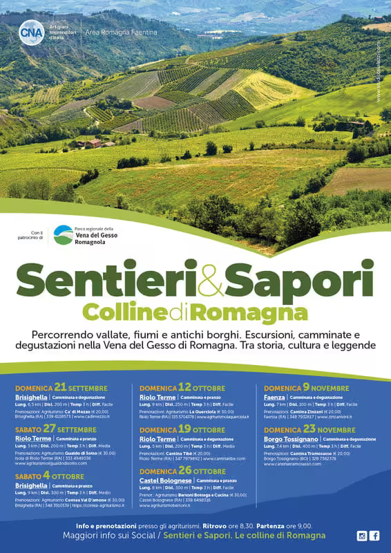 Sentieri & Sapori - Colline di Romagna - Camminata e degustazione - 9 novembre 2025