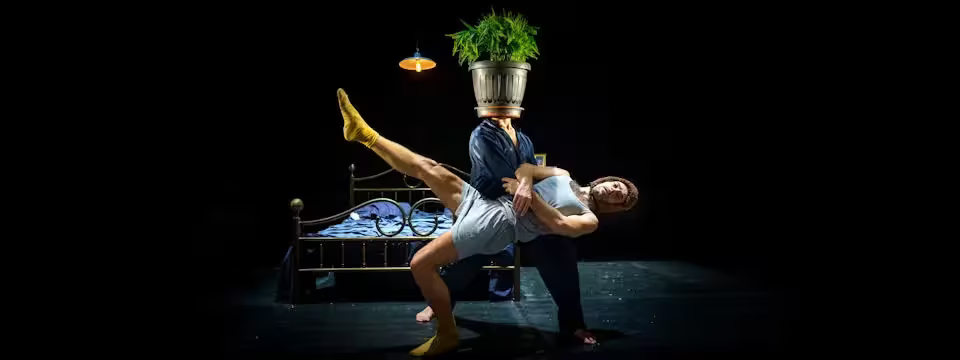 The Barnard Loop | Stagione Teatro Masini 2025/26