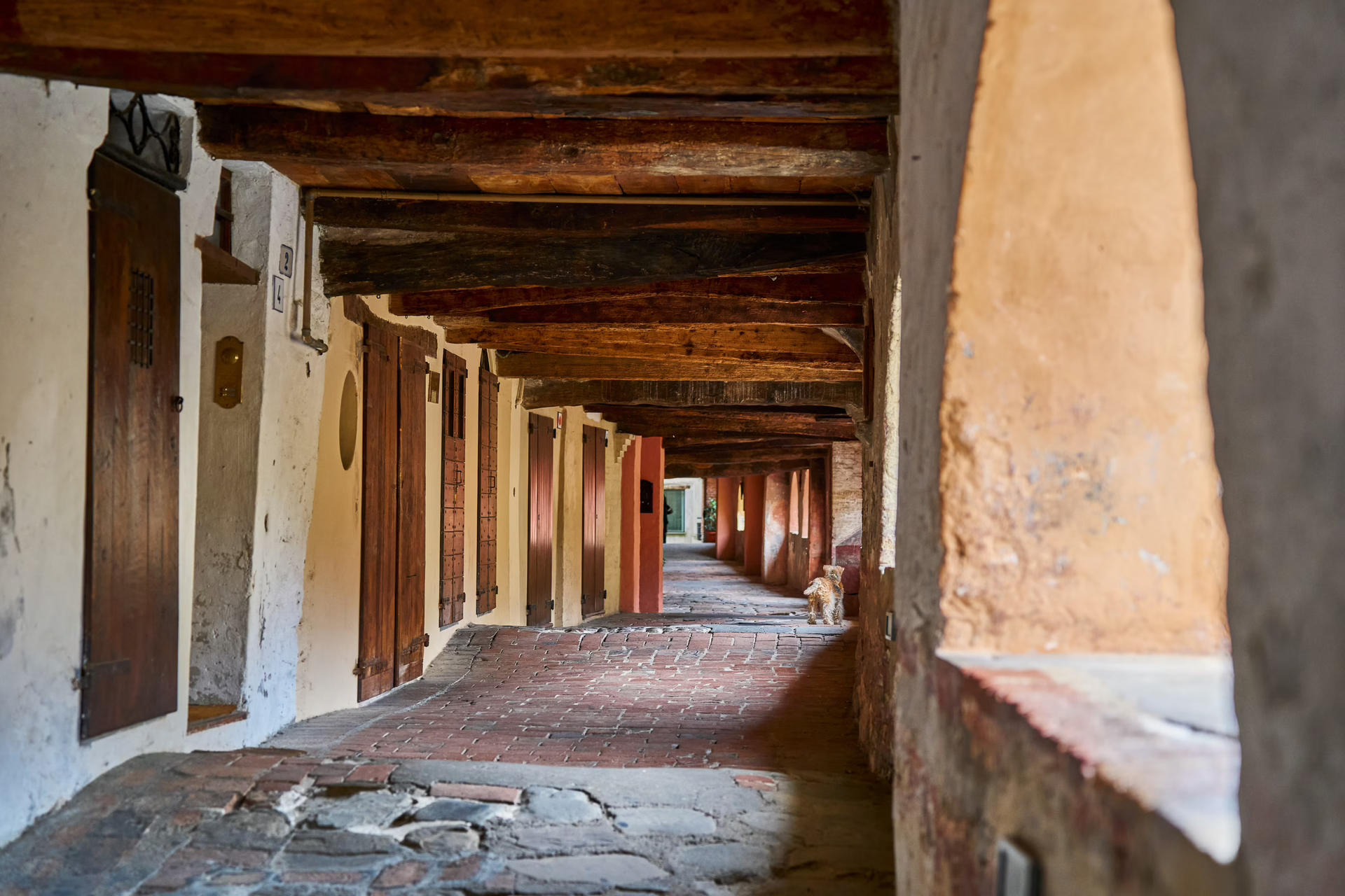 Tra Cave Scavi La Storia Di Brisighella Tra Archeologia Medievale E Industriale Br 7971